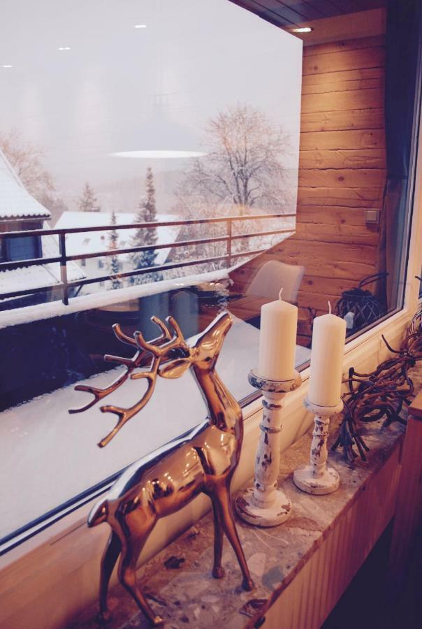 Chalet Am Hasselkopf Braunlage Exteriér fotografie